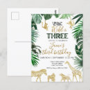 Search for three animals cards Jungle
