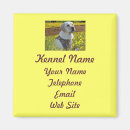 Search for breeder magnets Yellow