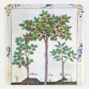 Search for herbal medicine stickers Testard