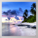 Search for beautiful beach scene posters Palm trees