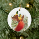 Search for birds of paradise christmas tree decorations Vintage