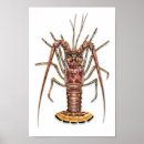 Search for a bugs life posters Wildlife