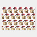 Search for retriever wrapping paper Xmas