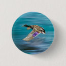 Search for bird picture badges Duck