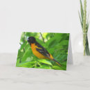 Search for orioles cards Baltimore oriole