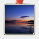 Search for environment christmas tree decorations Outdoors