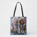 Search for orangutans accessories Borneo