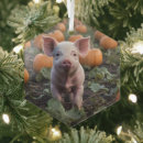 Search for baby pig christmas tree decorations Piglet