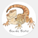 Search for cute bearded dragon stickers Reptile