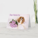 Search for cavalier king charles spaniel cards Photography