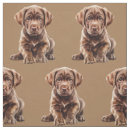 Search for labrador fabric Chocolate lab