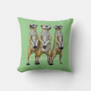 Search for digger cushions Cute