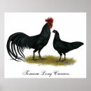 Search for bantam rooster art Bird