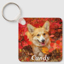 Search for working dog key rings Puppies