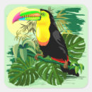 Search for amazonia Rainforest