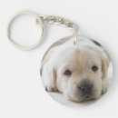 Search for golden labrador key rings Cute