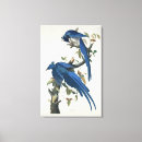 Search for john jay posters John james audubon