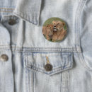 Search for reserve badges Animals in the wild