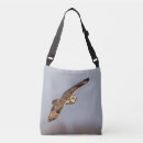 Search for ears bags Wildlife