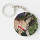 Search for harness key rings Bob and pam langrish