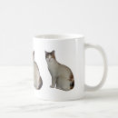Search for calico kittens mugs Pet