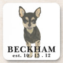 Search for short coasters Chihuahua