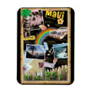 Search for fun magnets Humour