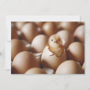 Search for baby chick thank you cards Farm