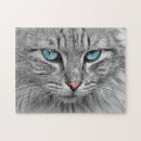 Search for grey cat puzzles Tabby
