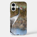 Search for sandhill electronics Crane