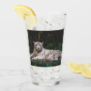 Search for tiger beer glasses Wildlife