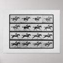 Search for muybridge posters Horse