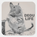 Search for rat stickers 2020