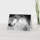 Search for retired dog cards Humourous