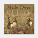 Search for deer buck magnets Outdoors