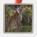 Search for wilderness christmas tree decorations Animal