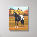 Search for black stallion canvas prints Equine