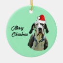 Search for harlequin great dane decor Dog