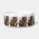 Search for golden retriever bowl dog bowls Goldens