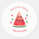 Search for watermelon stickers Summer birthday