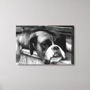 Search for boxer dog canvas prints Canine