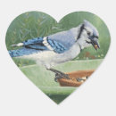 Search for feeder stickers Wild