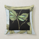 Search for insect cushions Leaves