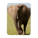Search for game reserve magnets Africa