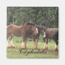 Search for clydesdale gifts Nature