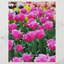 Search for tulip craft supplies Flowers