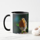 Search for red robin birds mugs Nature