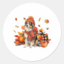 Search for super dog stickers Holiday offer today