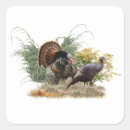 Search for wild turkeys stickers Hunting