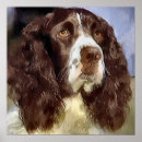 Search for english springer spaniel gifts Cute